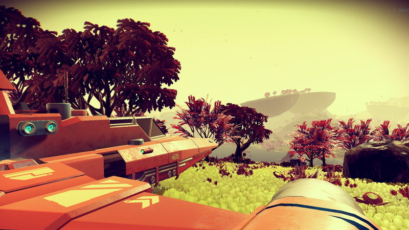 plant, aircraft, table, water, sky, auto post production filter, flowering plant, growth, video games, swimming pool, flower, sunlight, spaceship, real people