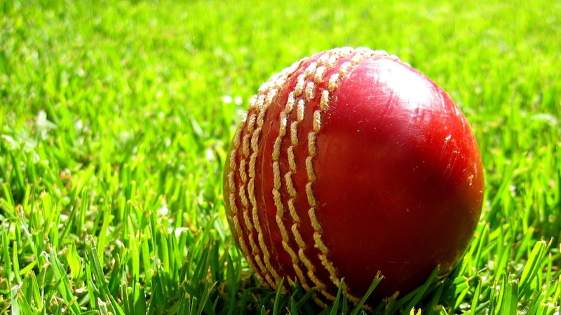 ripe, focus on foreground, single object, close-up, green color, fruit, nature, no people, day, freshness, ball, cricket, circle, land, food and drink