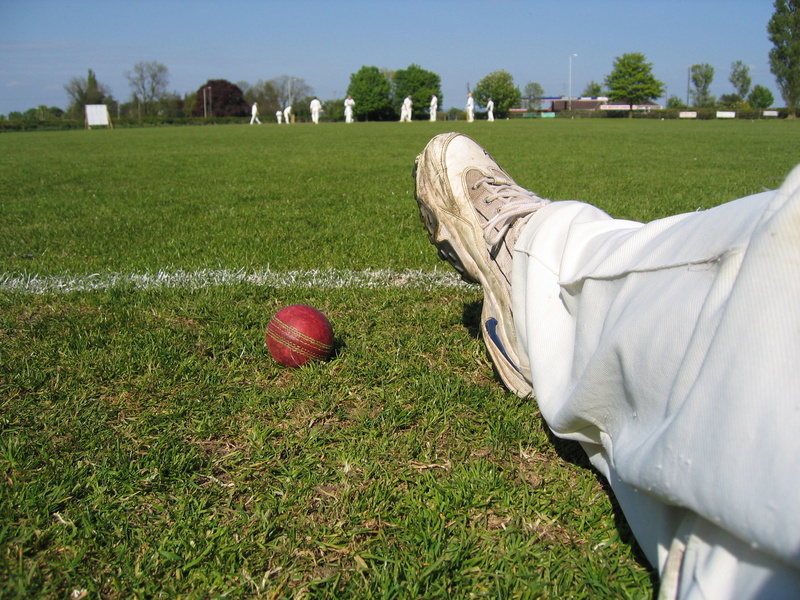 grass, sport, growth, real people, park - man made space, human body part, ball, land, boundary, leisure activity, plant, day, cricket, cricketer, green color