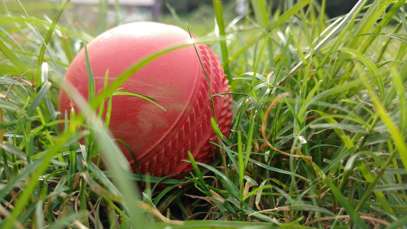 holiday, egg, red, plant, easter, grass, green color, celebration, close-up, growth, 5K, food and drink, nature, day, sport, cricket, land, no people