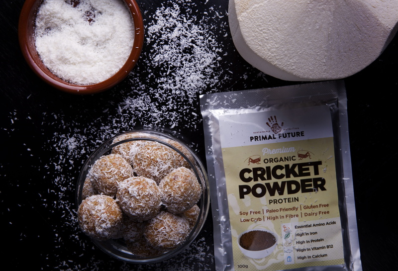 dessert, bites, cricket powder, indoors, sugar, new zealand, indulgence, snack, entomo, still life, kitchen utensil, premium, cricket, paleo, entomophagy