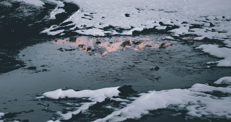 cold temperature, mammal, outdoors, animal themes, animal, vulture, beauty in nature, lake, mountain, no people, bird, animal wildlife, nature, bear, frozen
