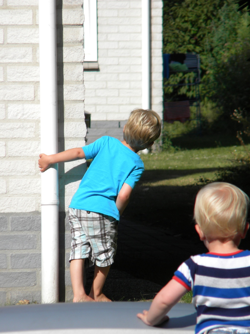 kids, sunlight, children, day, hide, 2K, boy, caucasian Ethnicity, peekaboo, boys, brother, hide and seek, real people, innocence, holding, people, family