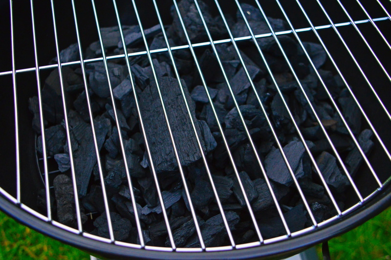 grid, garden, musical instrument string, grilling, full frame, metal, no people, musical equipment, black color, burning, food, one animal, outdoor, barbecue