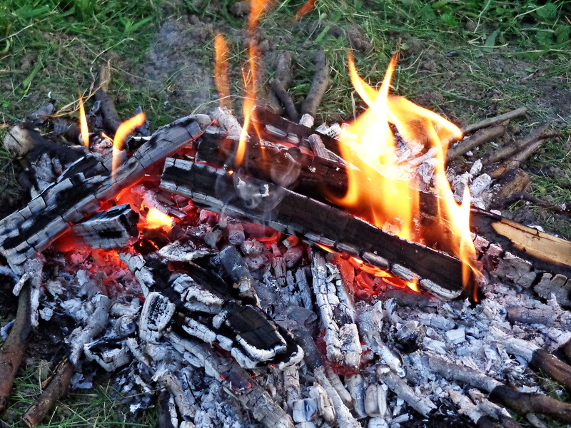 bake, an outbreak of, get fire to burn, Camp, campfire, heat - temperature, grilling, log, nature, Outbreak, environment, grill, glowing, temptation, summer