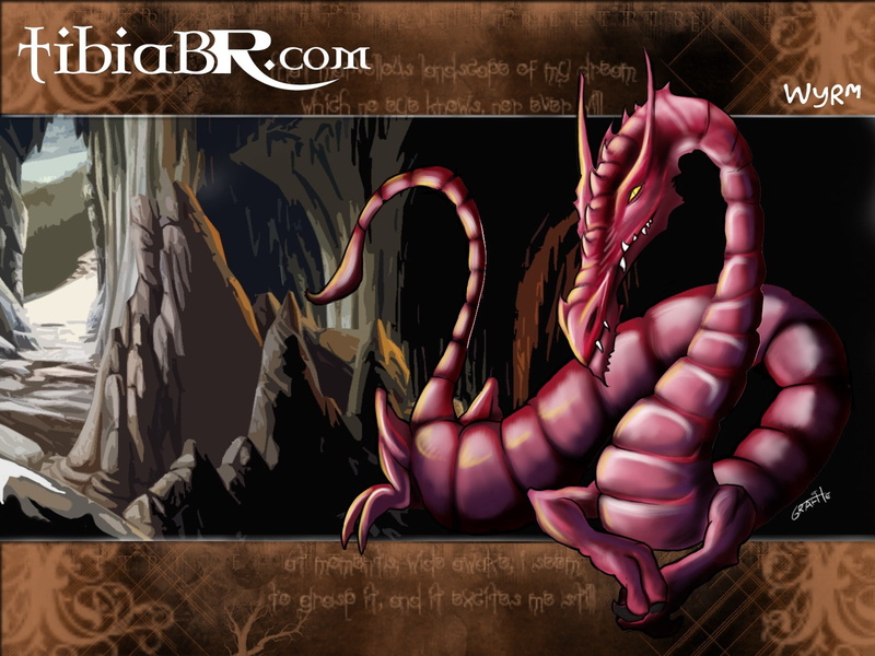 tibia, pc, dragon, gaming, rpg, 720P, pc gaming