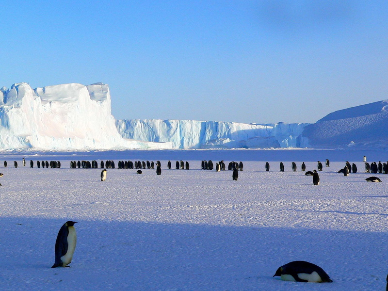 no people, land, water, tranquil scene, non-urban scene, antarctica, day, frozen, blue, snow, snowcapped mountain, 2K, ice, cold, mountain, nature, antarctic