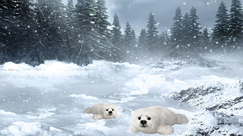 frozen, 1080P, seal, firefox persona, secret, antarctic, baby, cold, winter, alaska, 3d and abstract, place, river, seals