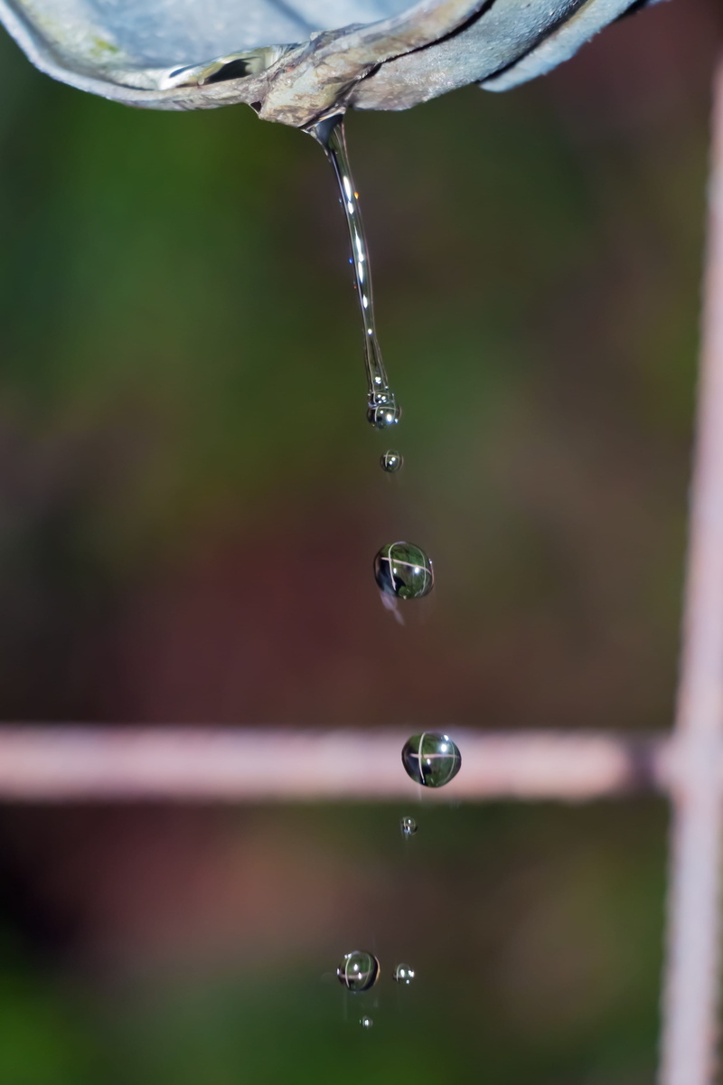 wet, nature, motion, focus on foreground, Aqua, selective focus, water, raindrop, purity, rain, dew, Melt, Smelting, drip, 4K, freshness, dribble, running water