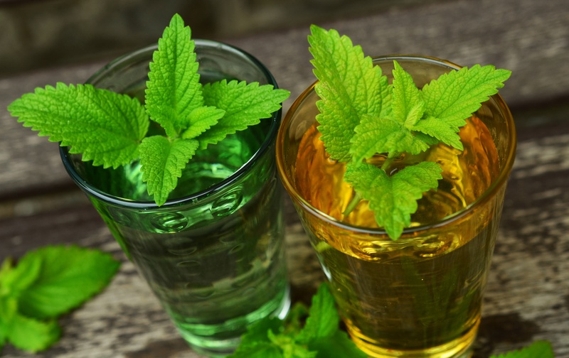 alcohol, leaves, herb garden, no people, mojito, spearmint, green Color, glass, high angle view, table, nature, food and drink, mint Leaf - Culinary, garden