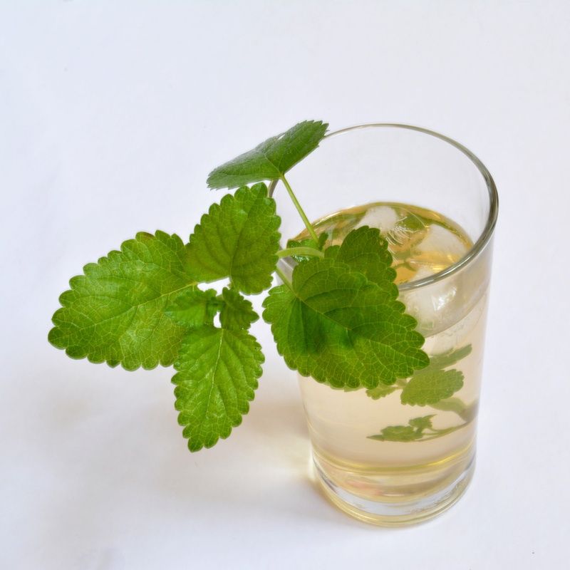 balm, leaf, refreshment, health, spearmint, fruit, glass - material, drinking, white background, drinking Glass, herbal, green Color, temptation, indoors