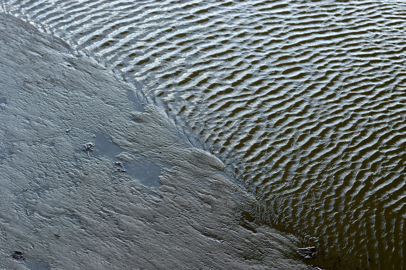 river, 5K, anhinga, animal, close-up, smelt, ripple, textured, animal wildlife, natural pattern, water, no people, animal themes, ground, beach, high angle view
