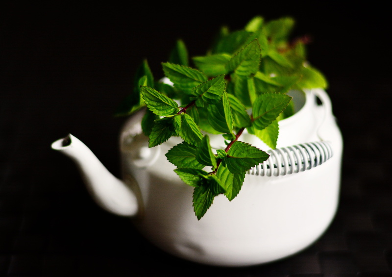 healthy eating, leaf, healthy, mint leaf - culinary, bless you, medicinal herbs, aroma, still life, tee, food and drink, wellbeing, close-up, drink, fragrant herb