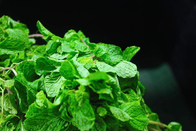 organic, leaf, cooking, healthy, fragrant, black background, food, nature, fresh, aromatic, growth, leaves, mint leaf - culinary, herb, green color, fragrance