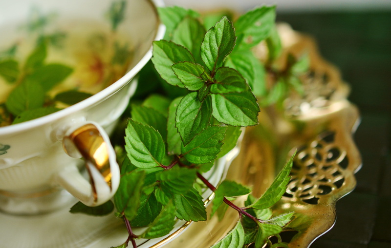 close-up, focus on foreground, tea - hot drink, leaves, tea, food, medicine, herb, kitchen herb, cup, healthy, peppermint, teapot, food and drink, tee