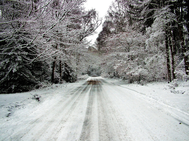 space, white, tranquil scene, snowing, vintage, christmas, blue, snow background, tranquility, forest, wood, nature, day, landscape, road, cold, direction