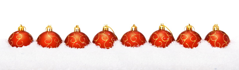 object, seasonal, red, arrangement, indoors, food, joy, backdrop, hang, animal, white background, festive, wellbeing, season, background, isolated