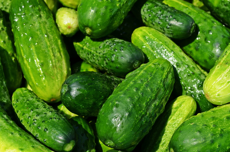 cucumbers, abundance, drop, backgrounds, wellbeing, still life, food, full frame, food And Drink, green, vegetable, organic, indoors, raw Food, nature