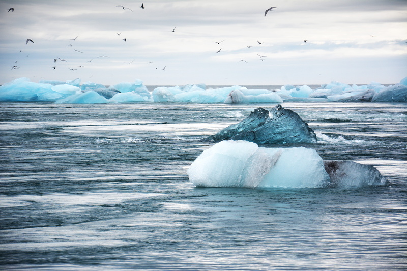 ocean, landscape, birds, ice, sea level, snow, cold temperature, iceberg, 5K, glacier, environment, outdoors, bird, scenics - nature, sky, floating on water
