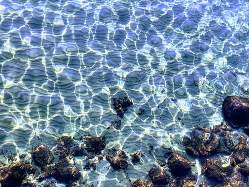 transparent, reef, rocks, space, universe, tranquility, sphere, animal, croatia, photography, ul. pava tomašića 4, natural pattern, sea, high angle view