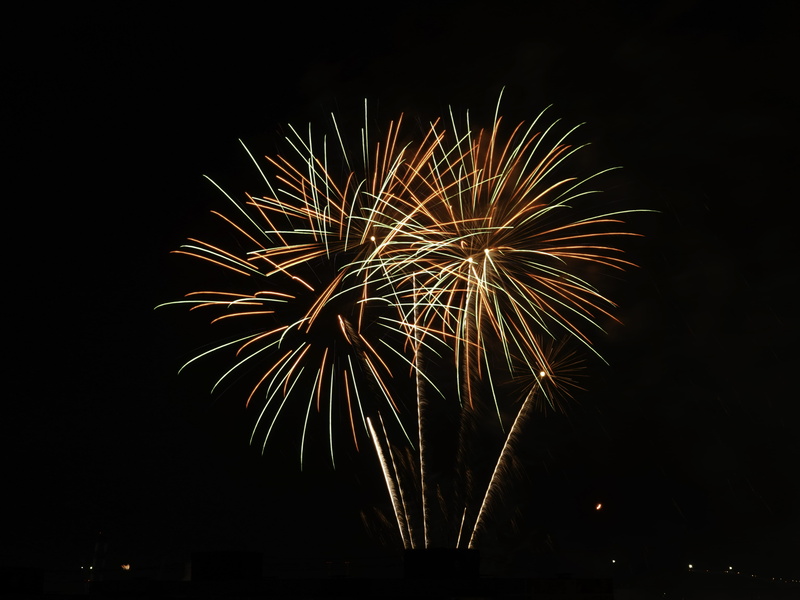 outdoors, plant, light, moon, night life, 4K, event, space, celebration, firework display, night, long exposure, no people, firework, arts culture and entertainment
