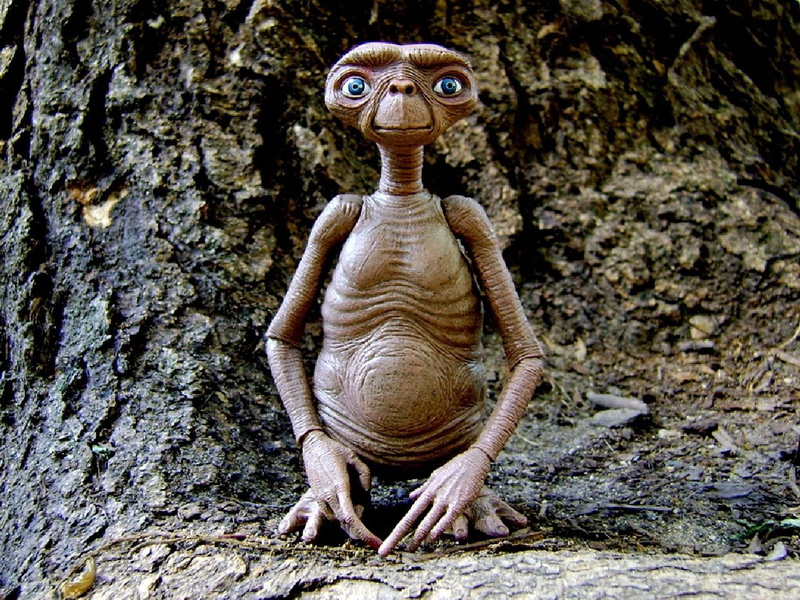 day, E.T. the Extra-Terrestrial, tree, nature, representation, no people, close-up, art and craft, creativity, brown, human representation, solid, craft