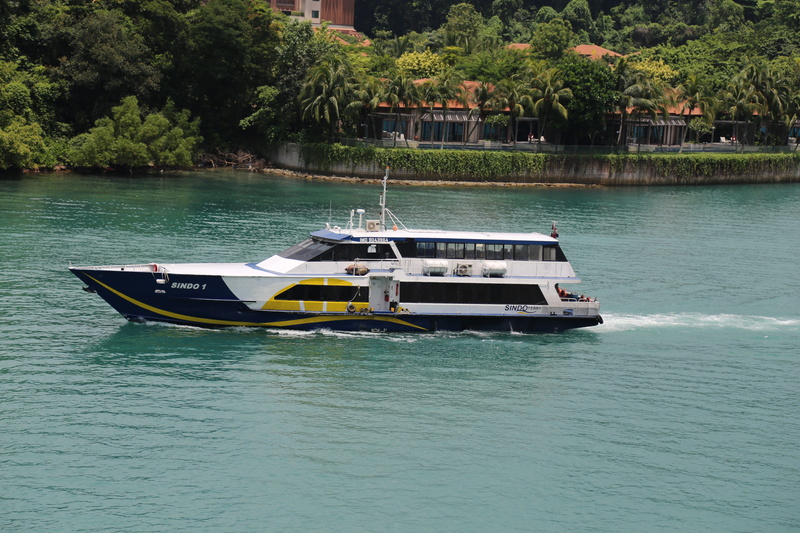 passenger craft, nature, sailing, day, travel, sea, plant, motor boat, sunlight, waterfront, nautical vessel, tree, transportation, ship, river, mode of transportation