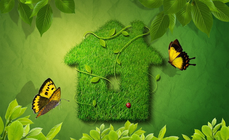 1080P, Creative, flowering plant, animals in the wild, nature, green, yellow, Butterflies, illustration, green color, plant part, two, green house, Grass