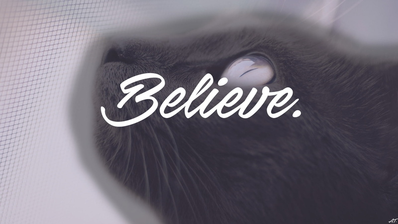 science, connection, human body part, close-up, hair, human hair, western script, text, people, profile view, mammal, cat animals i want to believe dark writing