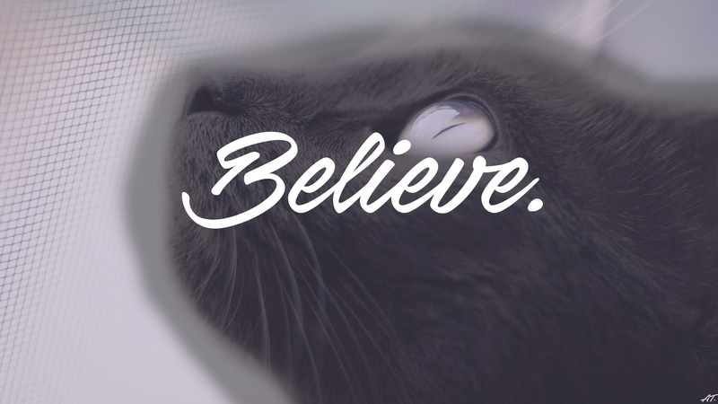 I Want To Believe, cat, writing, 1080P, Dark, animals