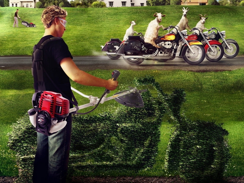 land, lawnmower, grass, gardening equipment, spraying, men, goats, lifestyles, garden hose, motorcycles, field, outdoors, gardening, sunlight, nature, one person