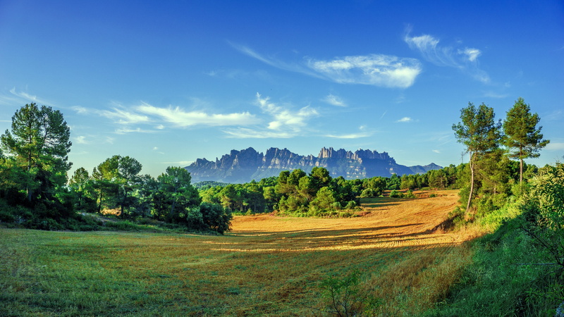 wheat, scenic, tree, no people, tranquility, blue, rural scene, green, landscape, scenics - nature, cloud - sky, mountain, montserrat, pasture, agriculture