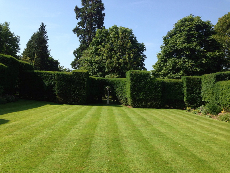 growth, no people, garden, nature, topiary, green color, tranquility, park - man made space, lawn, mowed, 2K, outdoors, summer, landscaping, beauty in nature