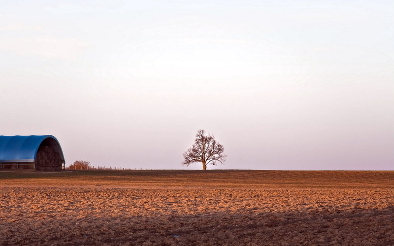 sunlight, winter, bare, scenics - nature, nature, mow, landscape, plant, autumn, land, tree, environment, outdoors, rural Scene, day, season, clear sky