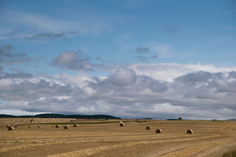 tranquility, tranquil scene, field, non-urban scene, grass, rural scene, clouds, bale, 5K, land, straw, herd, landscape, palencia, scenics - nature, mowing