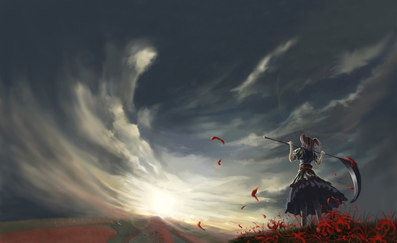 flowering plant, sunset, nature, touchou, low angle view, sky, tranquility, plant, Fantasy, tranquil scene, beauty in nature, Mowing, land, 1080P
