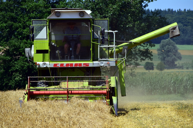 agriculture, machine, agricultural machinery, harvester, harvest to obtain, day, cutting machine, cereals, tree, rural scene, harvest time, combine harvester