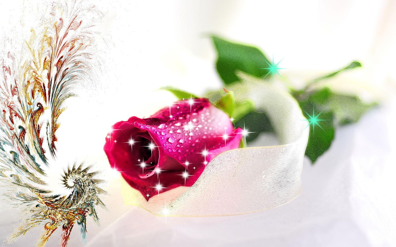 3d and abstract, abstract, red, new, sparkles, romances, loving, love, rose, 1080P, sincere, caring
