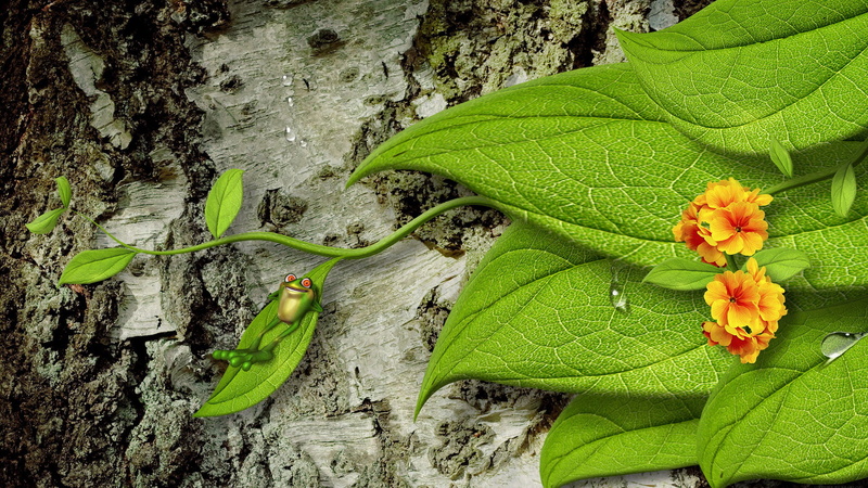 freshness, nature, summer squash, black mamba, bright, flower, healthy, tranquility, produce, growth, close, spring, botany, plant, colorful, tree trunk