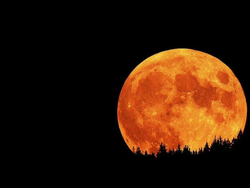 red, Moon, moonlight, backgrounds, space and astronomy, black Color, light - Natural Phenomenon, Earth, moon Surface, scenics - nature, outdoors, tranquil scene