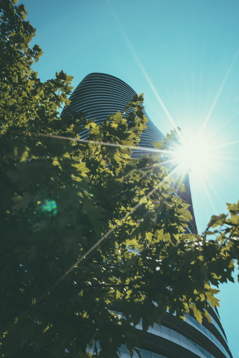 blue sky, tree, bright, building exterior, low angle view, tall, high, landscape, Modern building, sunlight, modern, daylight, tower, built structure, looking up