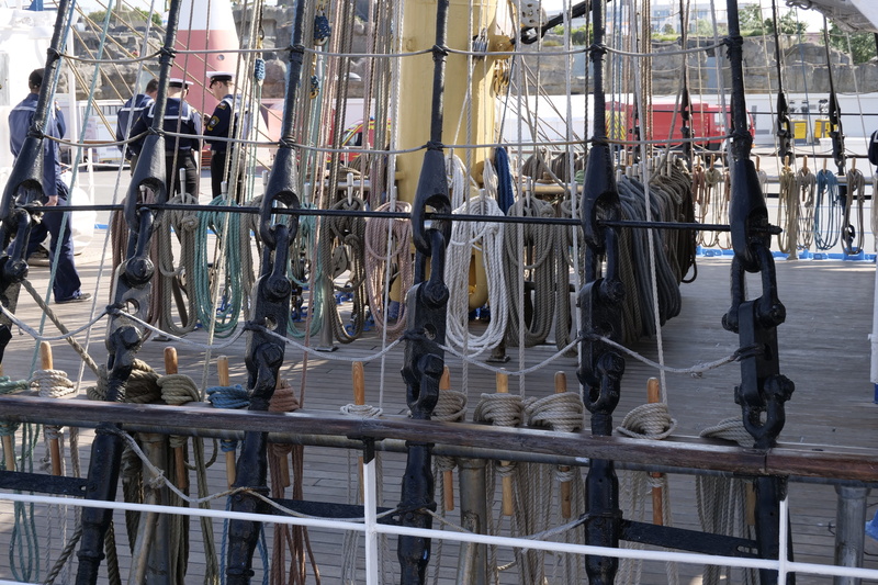 boundary, barrier, architecture, ship accessories, sail training ship mir, building exterior, thaw, mast, railing, shrouds, sail training ship, rigging