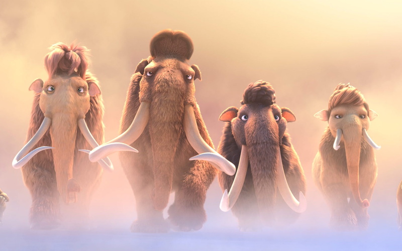 animal, vertebrate, four animals, group of animals, age, nature, looking, animal themes, 1080P, sky, domestic animals, sunlight, animals in the wild, course