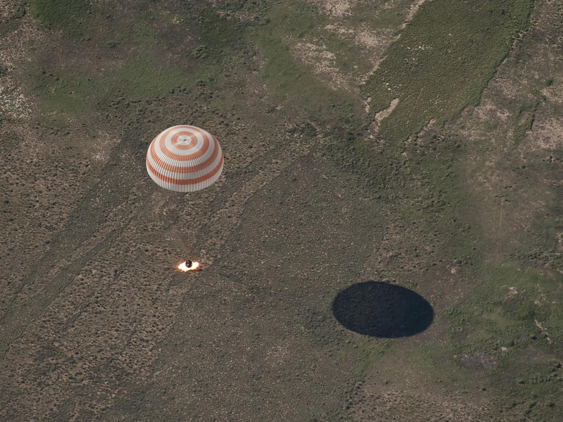 geometric shape, close-up, day, field, shell, no people, pattern, Astronautics, Parachutes, high angle view, shape, plant, land, transportation, grass