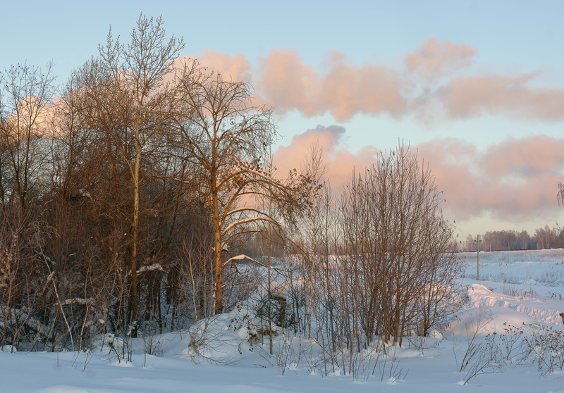coldly, beautiful, bare tree, snow, landscape, tree, blue, no people, covering, forest, park, texture, sky, beauty in nature, 5K, cold temperature, clouds