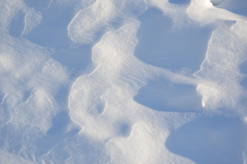 outdoors, weather, nature, white, landscape, snowdrifts, no people, fairy, line, beauty in nature, season, snowy field, shadow, day, winter, coldly, land