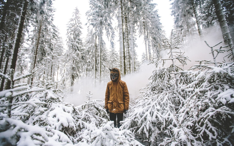 forest, cold temperature, lifestyles, woodland, extreme weather, outdoors, tree, non-urban scene, plant, one person, leisure activity, beauty in nature