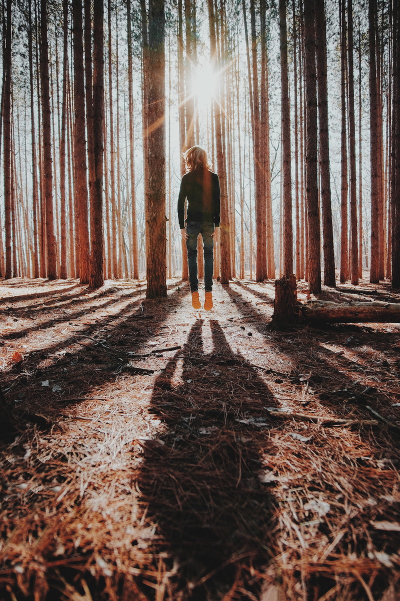 jump, 4K, levitation, loneliness, shadow, forest
