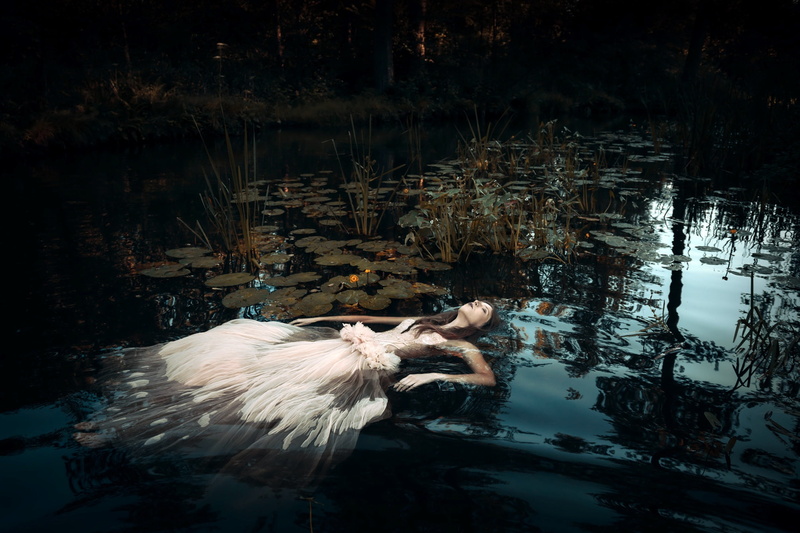 animal, outdoors, one animal, lake, water, nature, plant, reflection, vertebrate, swimming, model, fantasy art, animal wildlife, no people, white dress