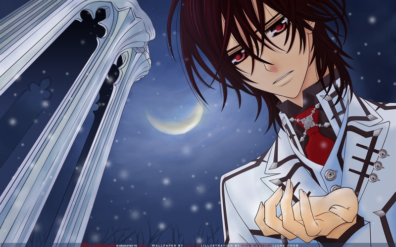 vampire, knight, Vampire Knight, 1080P, art, hd, kaname, kuran, x, anime
